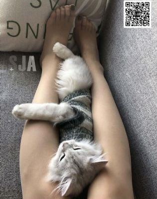 长月烬明电视剧高清在线观看免费_BD英语高清在线观看